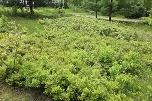 515 Dodlin Rd, Enfield, ME 04493 - Photo 46
