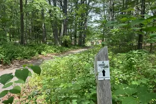 125 Murray St, Portland, ME 04103 - Photo 40