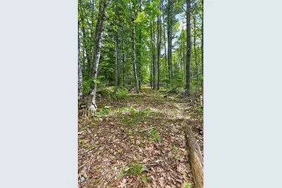 0 Gurneytown Road, Appleton, ME 04862 - Photo 42