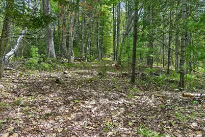 0 Gurneytown Road, Appleton, ME 04862 - Photo 40