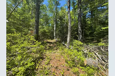 Lot# Bucksmills Road, Bucksport, ME 04416 - Photo 14
