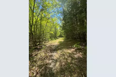 Lot# Bucksmills Road, Bucksport, ME 04416 - Photo 12