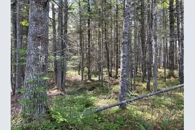 16 Woody Lane, Cushing, ME 04563 - Photo 10