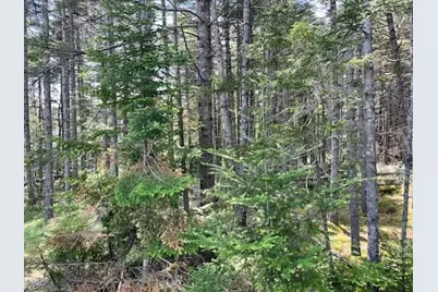 16 Woody Lane, Cushing, ME 04563 - Photo 6