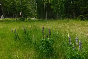 142 Birch Ln, Lowell, ME 04493 - Photo 14