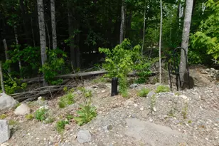 142 Birch Ln, Lowell, ME 04493 - Photo 66