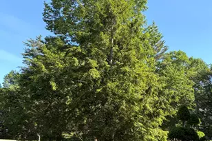 10 Driftwood Trail, Wells, ME 04090 - Photo 76