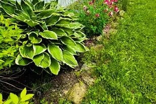 59 Karen St, Palmyra, ME 04965 - Photo 20
