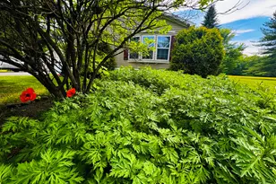 59 Karen St, Palmyra, ME 04965 - Photo 12