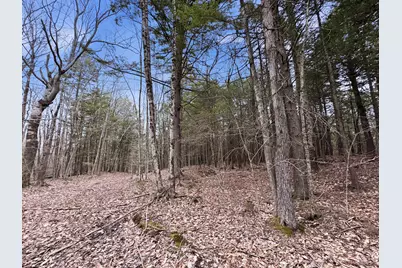 0 Old Portland Road, Brunswick, ME 04011 - Photo 6