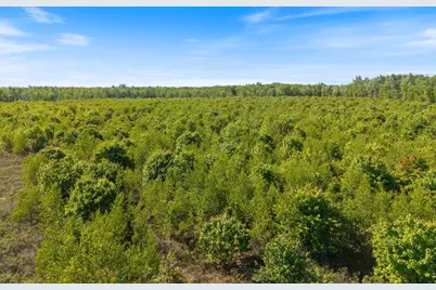 Map 004 Lot 064-5 & 064-6, Hollis, ME 04042 - Photo 14