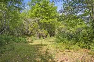 1238 Main St, Hartford, ME 04220 - Photo 34