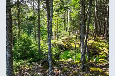 M2 L43 Old Wagon Trail Road, Roque Bluffs, ME 04654 - Photo 18