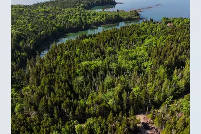M2 L43 Old Wagon Trail Road, Roque Bluffs, ME 04654 - Photo 2