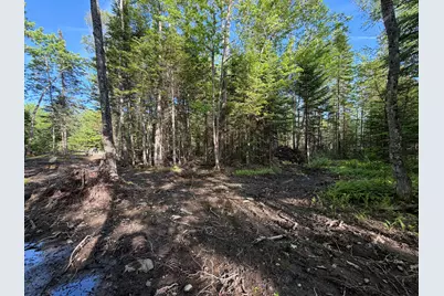 Lot 12-001 Off North Guilford Road, Monson, ME 04464 - Photo 18
