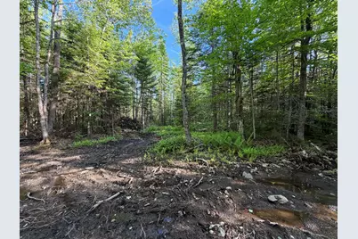 Lot 12-001 Off North Guilford Road, Monson, ME 04464 - Photo 30