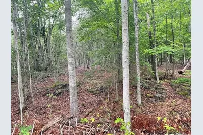 346 N Shore Drive, Owls Head, ME 04854 - Photo 20