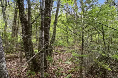 00 Kennebec Road, Machiasport, ME 04655 - Photo 2