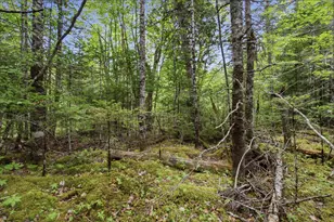 00 Kennebec Rd, Machiasport, ME 04655 - Photo 1