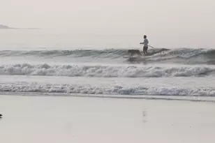 10 Nutter Way, Scarborough, ME 04074 - Photo 88