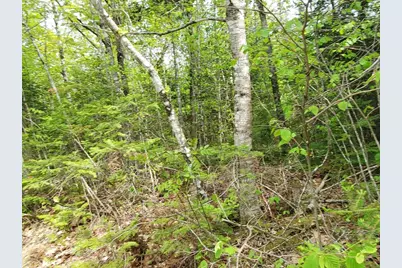 Lot 7 Pleasent Pond Road, Atkinson, ME 04426 - Photo 16