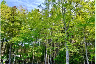 4 Long Pond Road, Southwest Harbor, ME 04679 - Photo 46