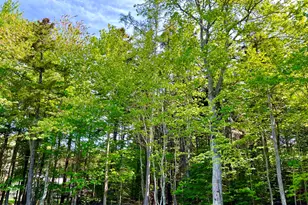 4 Long Pond Rd, Southwest Harbor, ME 04679 - Photo 46