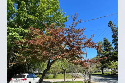 4 Long Pond Road, Southwest Harbor, ME 04679 - Photo 32