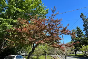4 Long Pond Rd, Southwest Harbor, ME 04679 - Photo 32