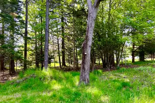 4 Long Pond Rd, Southwest Harbor, ME 04679 - Photo 44