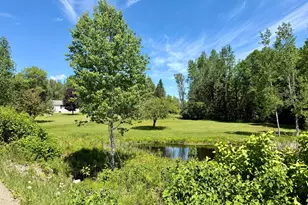 207 Bog Brook Rd, Crystal, ME 04747 - Photo 14
