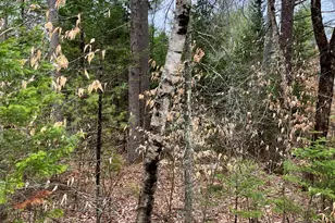 0009A Church Hill Rd, Leeds, ME 04263 - Photo 2