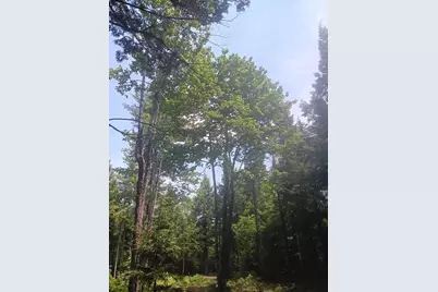 Lot #20 Peaceful Point Road, Waltham, ME 04605 - Photo 10