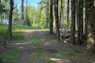 102 Upper Lead Mountain Pond Rd, T22 Md, ME 04408 - Photo 42