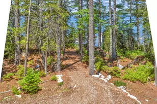 285 Sunset Cv Wy, Orland, ME 04472 - Photo 18