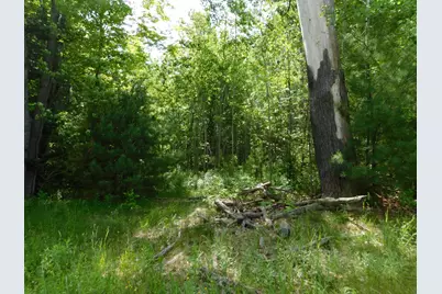 244 Canaan Road, Hartland, ME 04943 - Photo 2