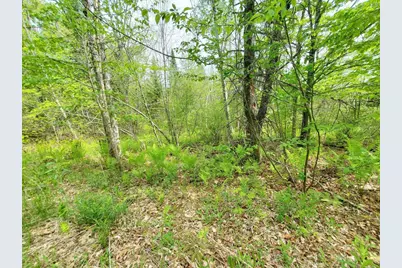 Lot 6 Pleasent Pond Road, Atkinson, ME 04426 - Photo 18