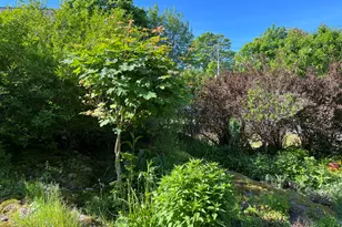 165 Main St, North Haven, ME 04853 - Photo 38