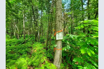 92 Huff Road, Cornville, ME 04976 - Photo 112