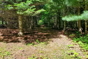 92 Huff Rd, Cornville, ME 04976 - Photo 114