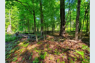 92 Huff Road, Cornville, ME 04976 - Photo 104