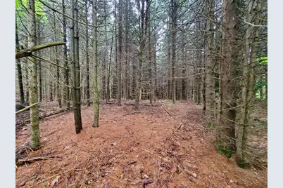 92 Huff Road, Cornville, ME 04976 - Photo 82