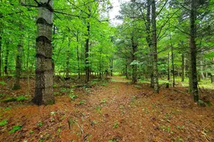 92 Huff Rd, Cornville, ME 04976 - Photo 78