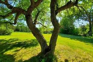 92 Huff Rd, Cornville, ME 04976 - Photo 98