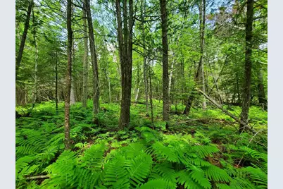 92 Huff Road, Cornville, ME 04976 - Photo 114