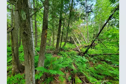92 Huff Road, Cornville, ME 04976 - Photo 116