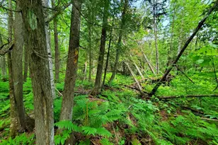 92 Huff Rd, Cornville, ME 04976 - Photo 116