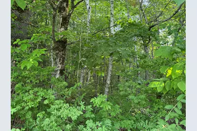 026A Belmont Avenue, Belfast, ME 04915 - Photo 10