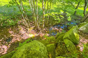 737 Stow Rd, Stow, ME 04037 - Photo 98