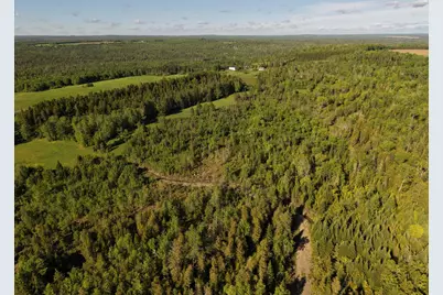 M5L50D Rista Road, New Sweden, ME 04762 - Photo 4